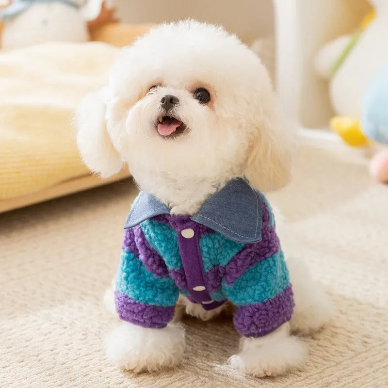 Dog winter thick warm cozy sweater with leash hole and collar for small medium breeds