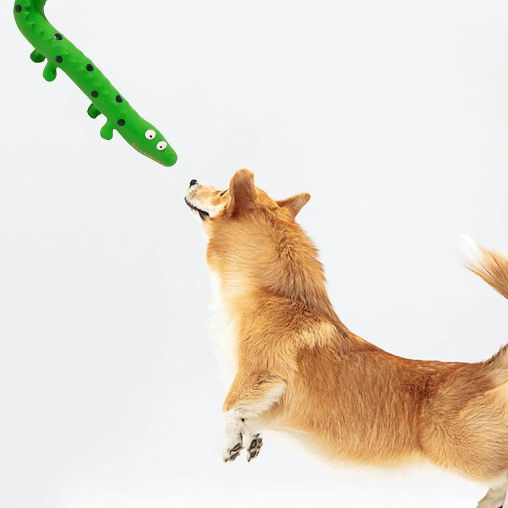 Green cartoon lizard shaped squeaky dog chew toy on a white background.