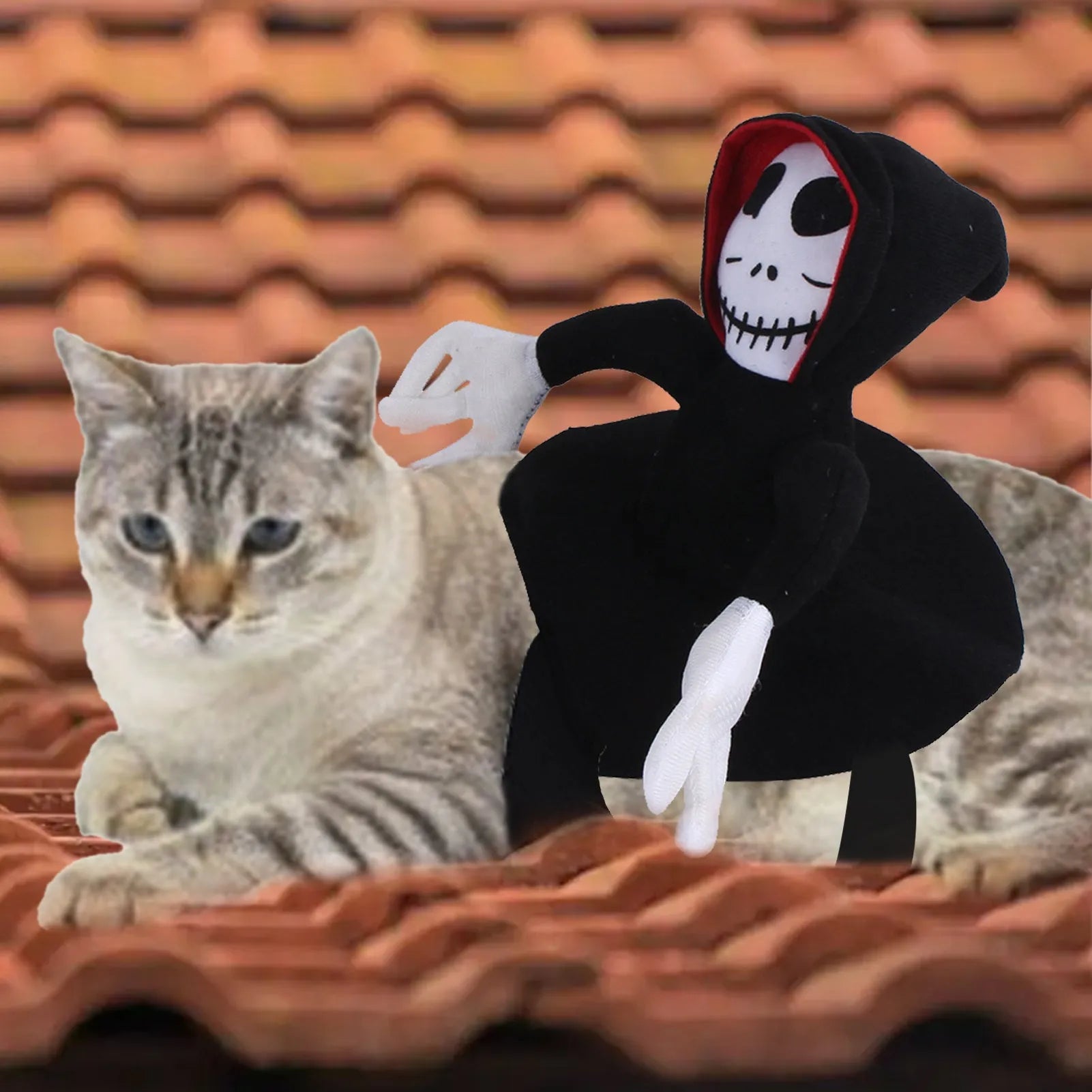 Goblin riding pet Halloween costume made from felt cloth with velcro straps in green colour on a cat or small dog.