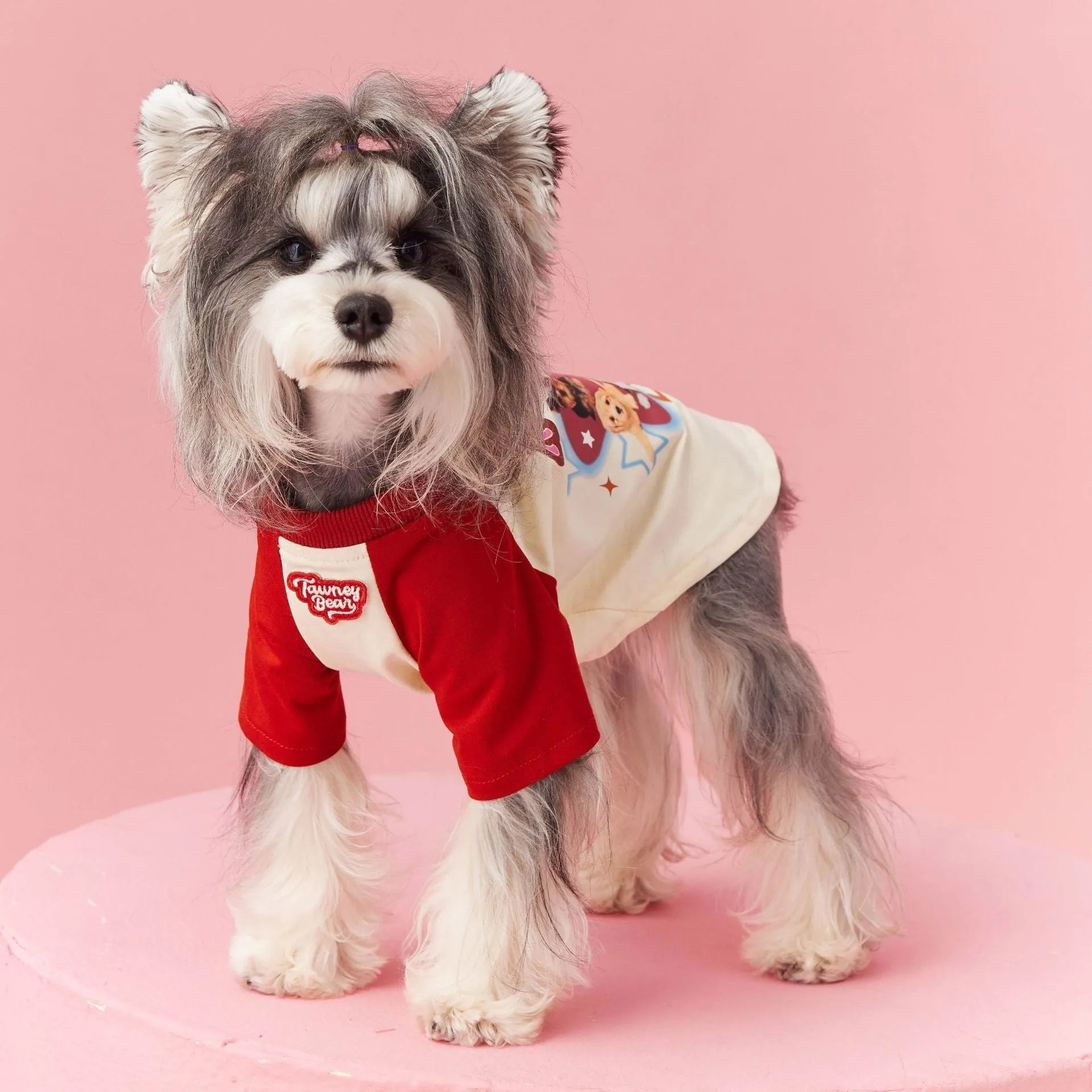 Cotton summer dog clothes in embroidered red or pink with contrast colour design