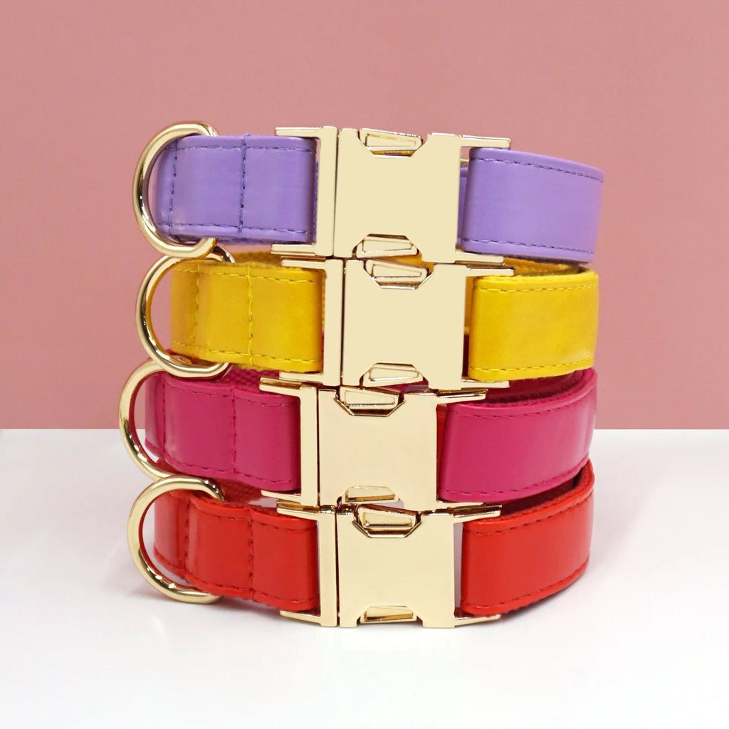 Solid colour leather dog collar shown in a selection of hues including caramel, dark blue and rose pink.