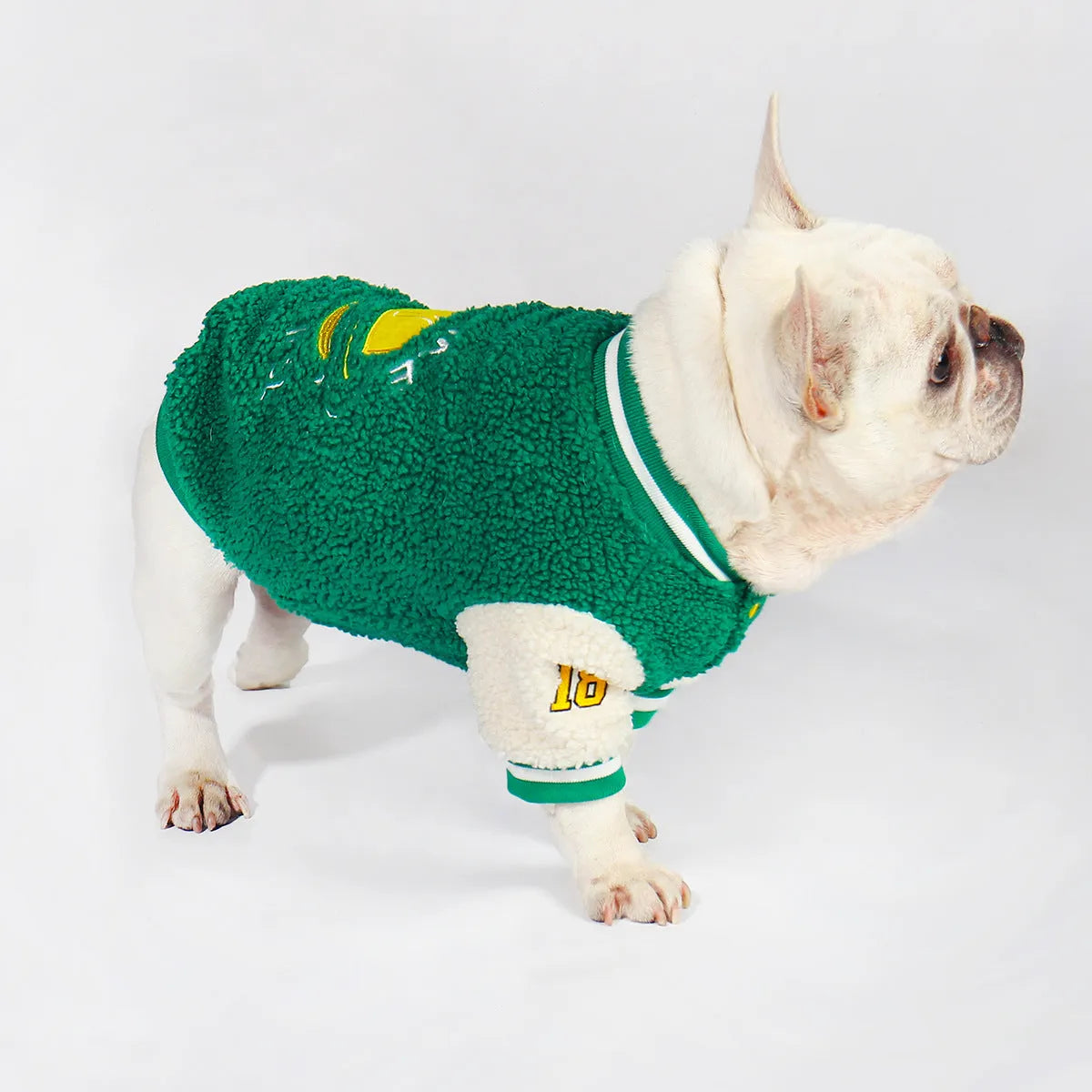 Green fleece-lined dog winter coat shown on a mannequin, sizes L XL XXL 3XL 4XL.