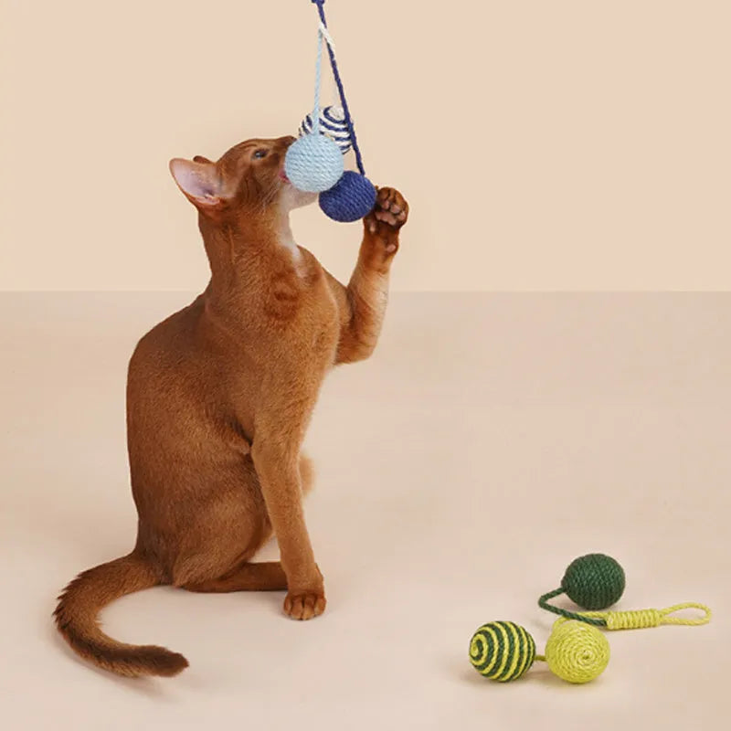 Cat toy set with teaser stick and catnip ball in blue, green, red, yellow colours