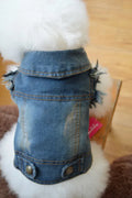 Denim dog vest with retro scratch pattern for autumn and winter pet clothing