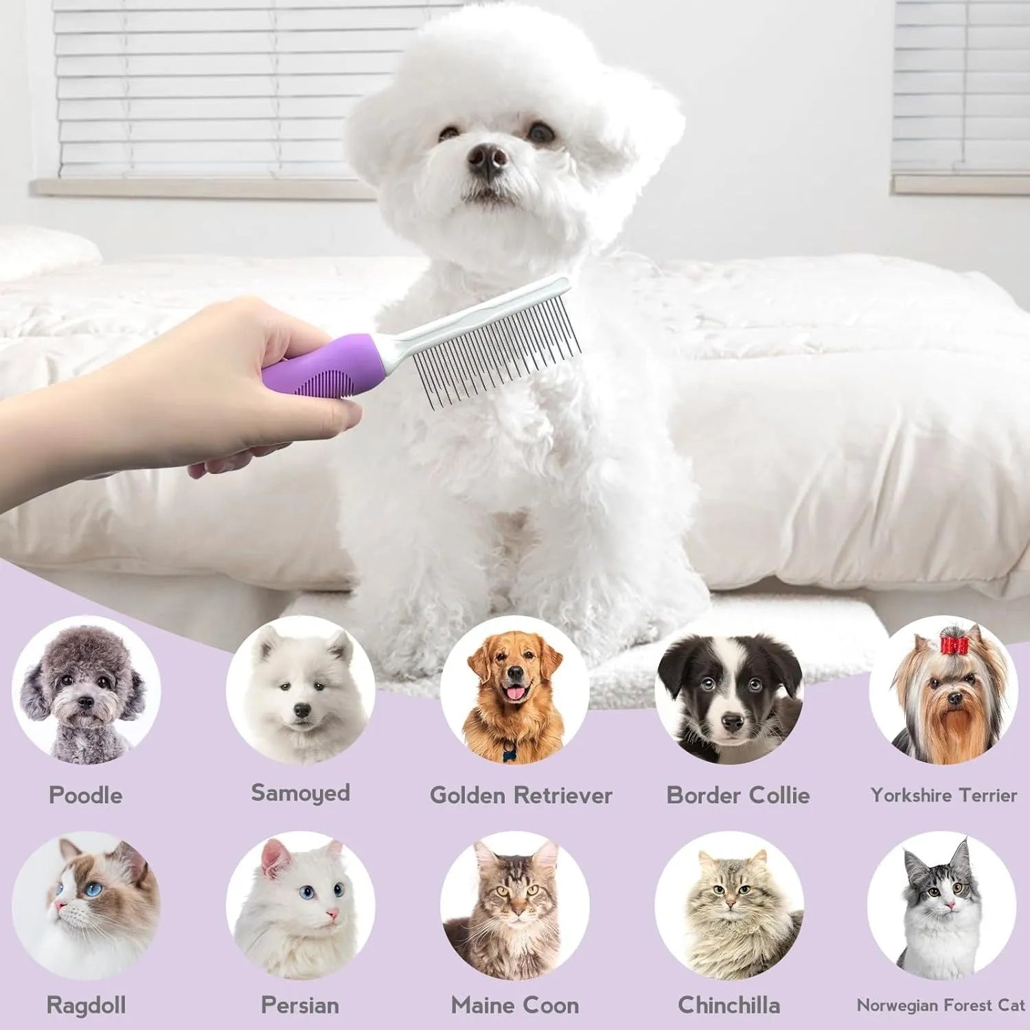 Purple pet detangling comb with stainless steel teeth for dog and cat grooming