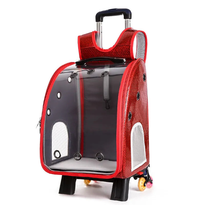 Blue transparent folding pet trolley bag with shoulder strap and wheels for small dog or cat.