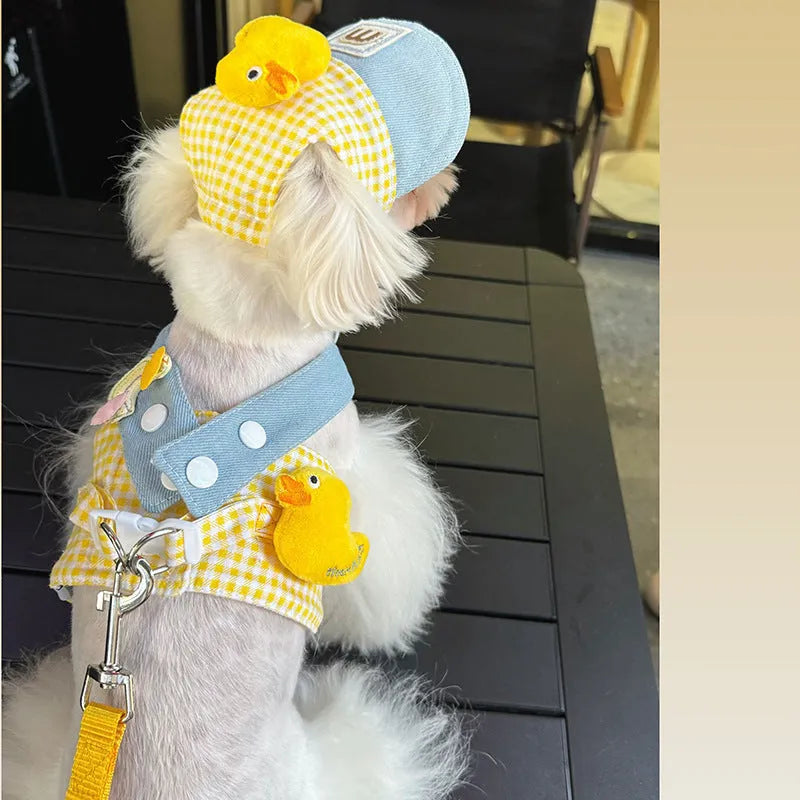 Three-piece summer cat clothes set with harness, leash, hat and rope accessories for outdoor pet safety