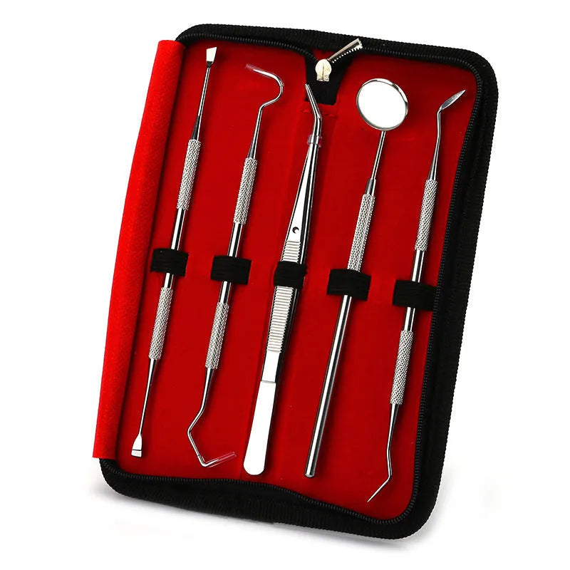 Stainless steel dental tools set with oral mirror and cleaning instruments