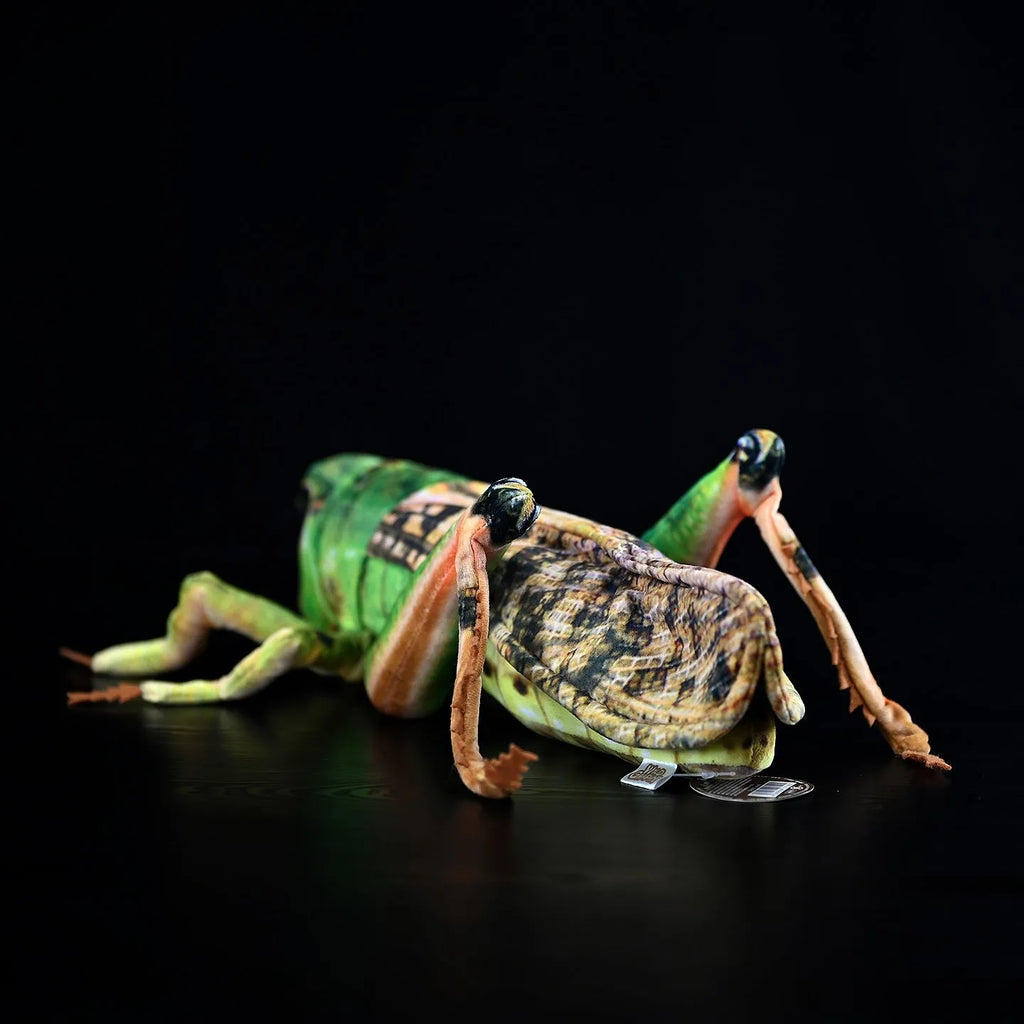 Simulation grasshopper doll plush toy 35cm flannel green insect soft toy