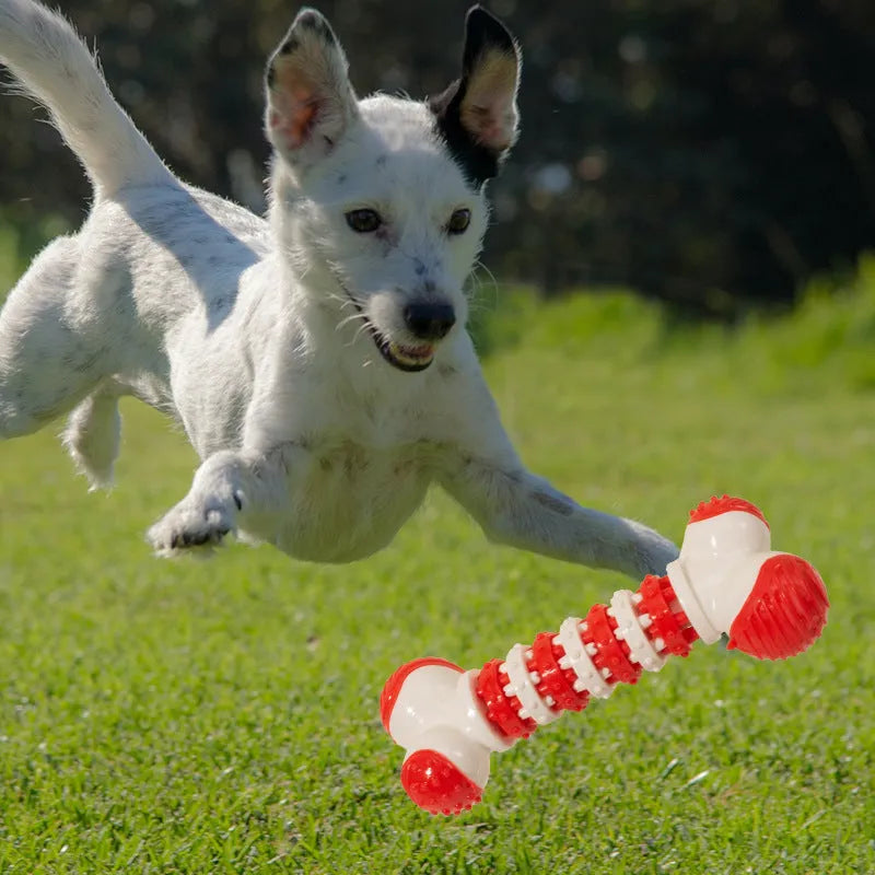 Blue bone shaped interactive dog toy with treat holder compartment for small breed puppies