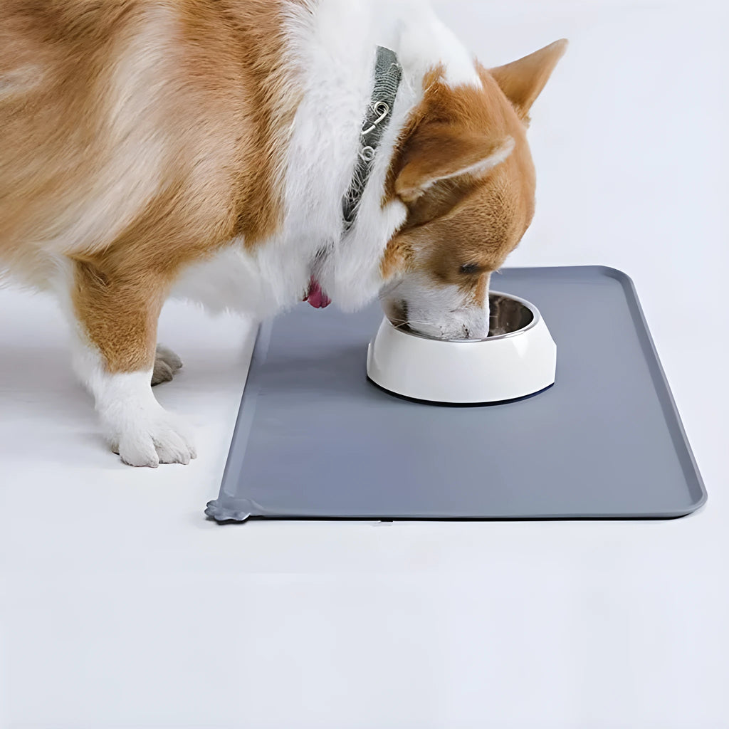 Stainless steel cat dog feeder bowl with electroplated ABS stand and bowl mat
