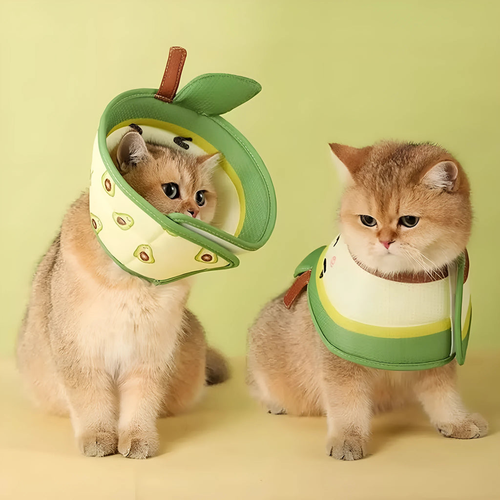 Soft grey cat recovery cone collar with adjustable strap on table