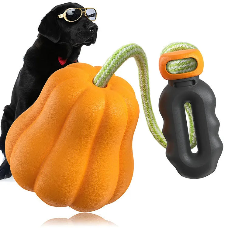 Pumpkin-shaped plastic dog toy with rope attachment for outdoor camping and long throws