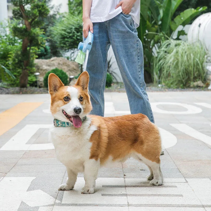 Automatic retractable dog lead with light, plastic, 3m or 5m, olive green, red bean paste, or haze blue
