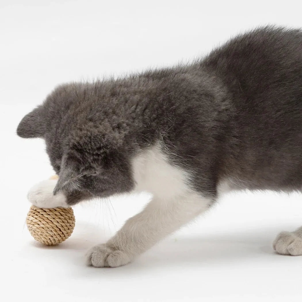 Primary colour cat toy set showing a rattan ball and a faux feather ball with bell.