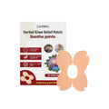 LANISKA herbal moxa leaf menthol joint care adhesive patches 10 piece pack with storage box