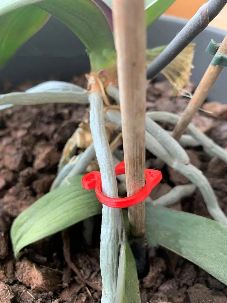 Cat-shaped plastic plant clip in four colours: red, yellow, green and white