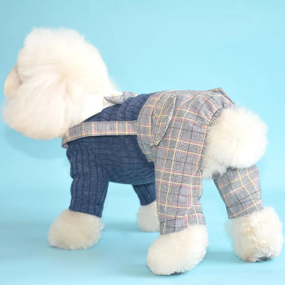 Orange and dark blue cotton dog suit shirt for small dogs in S to 2XL sizes