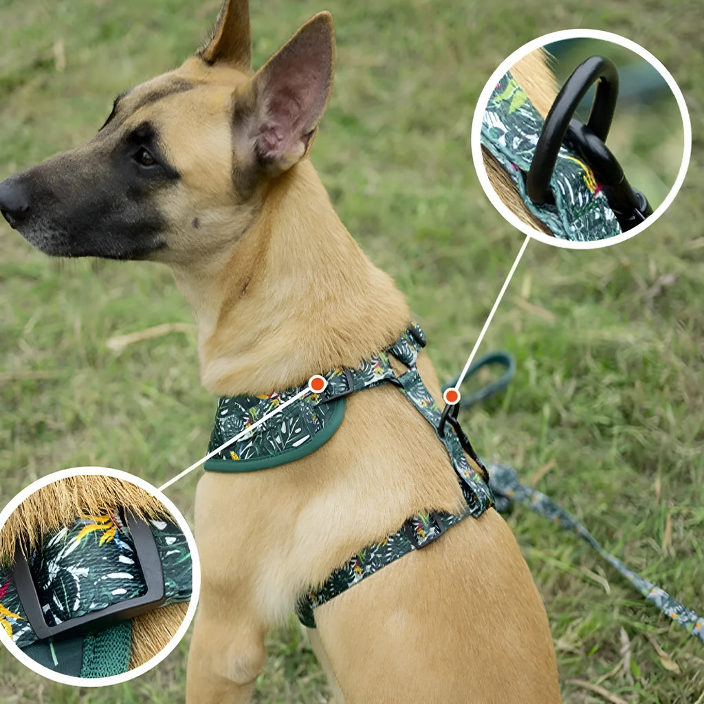 Six-piece cloth dog harness and lead set showing vest, collar, waste bag, bow tie and scarf in assorted colours.