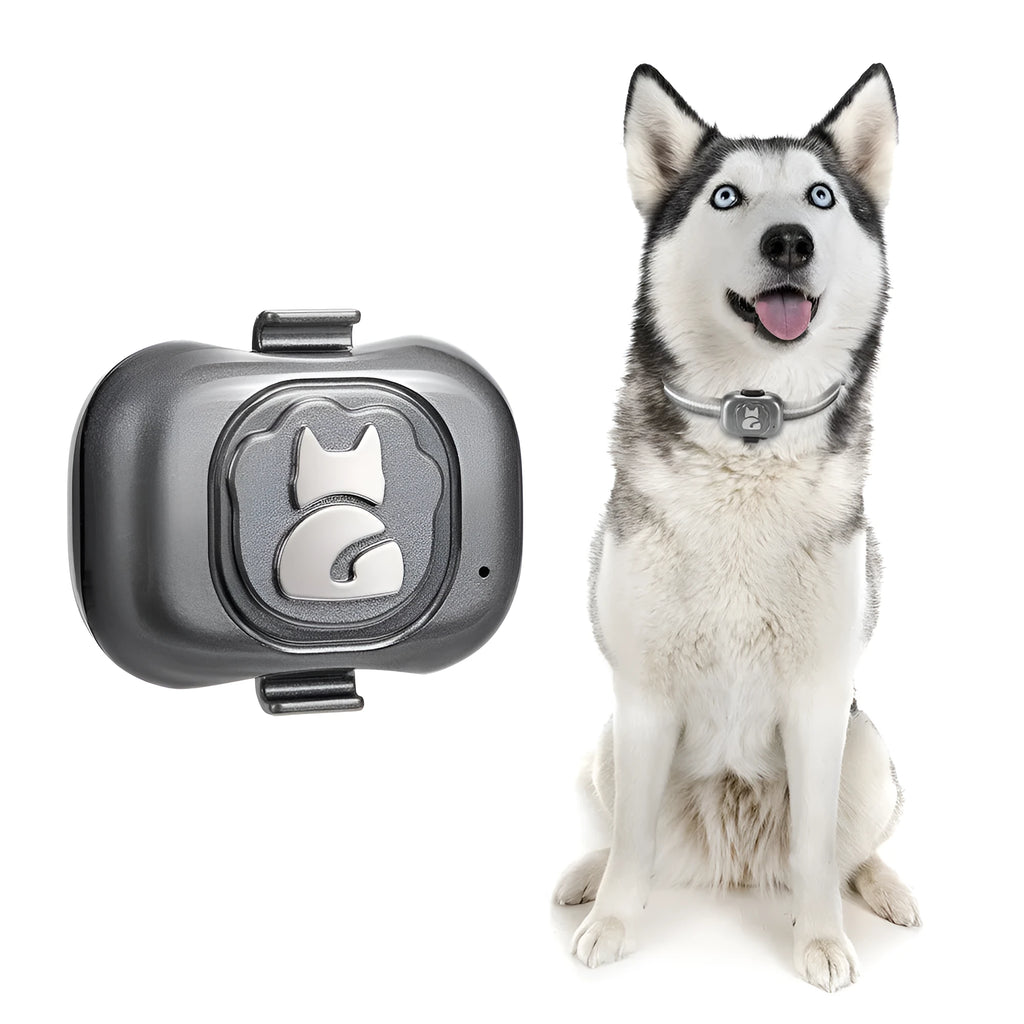 Black ABS plastic GPS pet tracker with hanging rope for collar attachment