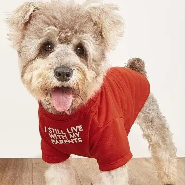 Round neck polyester pet T-shirt in red, blue, black, and khaki, sizes S to XXL