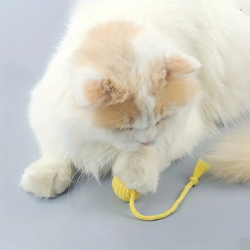 Cat toy ball with rope attached in green, pink, purple, or yellow colours with internal bell