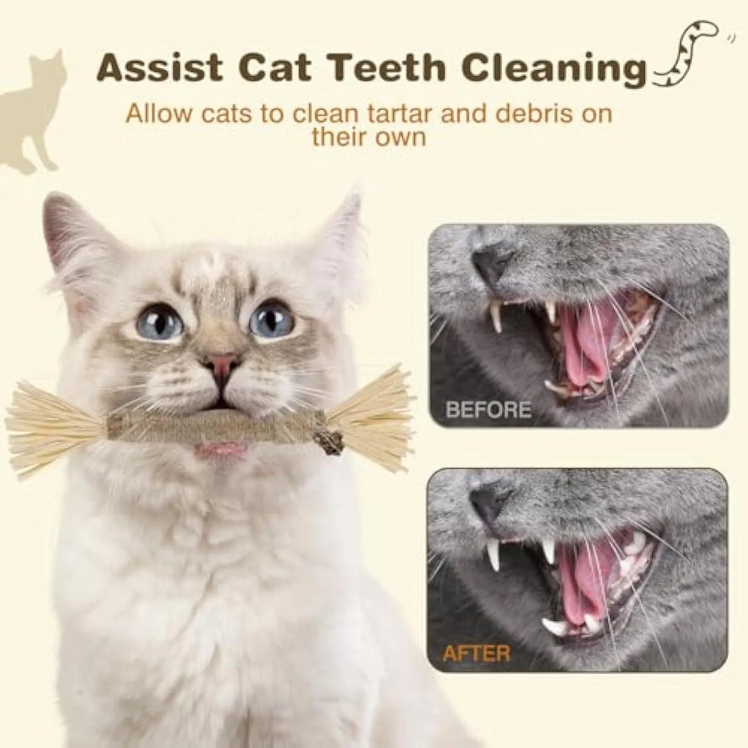 Natural silvervine chew sticks for cats in two diameter options for dental care and play