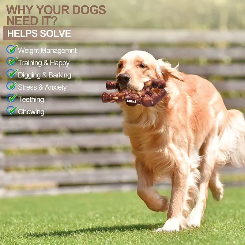 Scarlet nylon dog chew bone toy with beef scent for molar nibbling