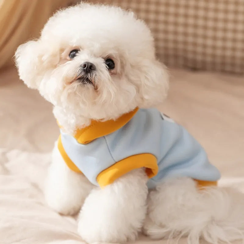 Blue Korean dog hoodie with cartoon little bear design for small medium pets