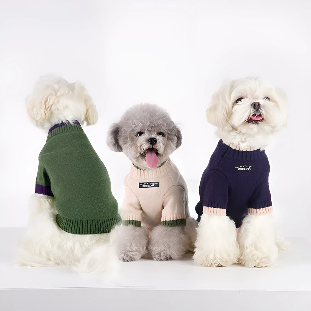 Wool pet sweater with two legs design in Crown Blue colour on dog
