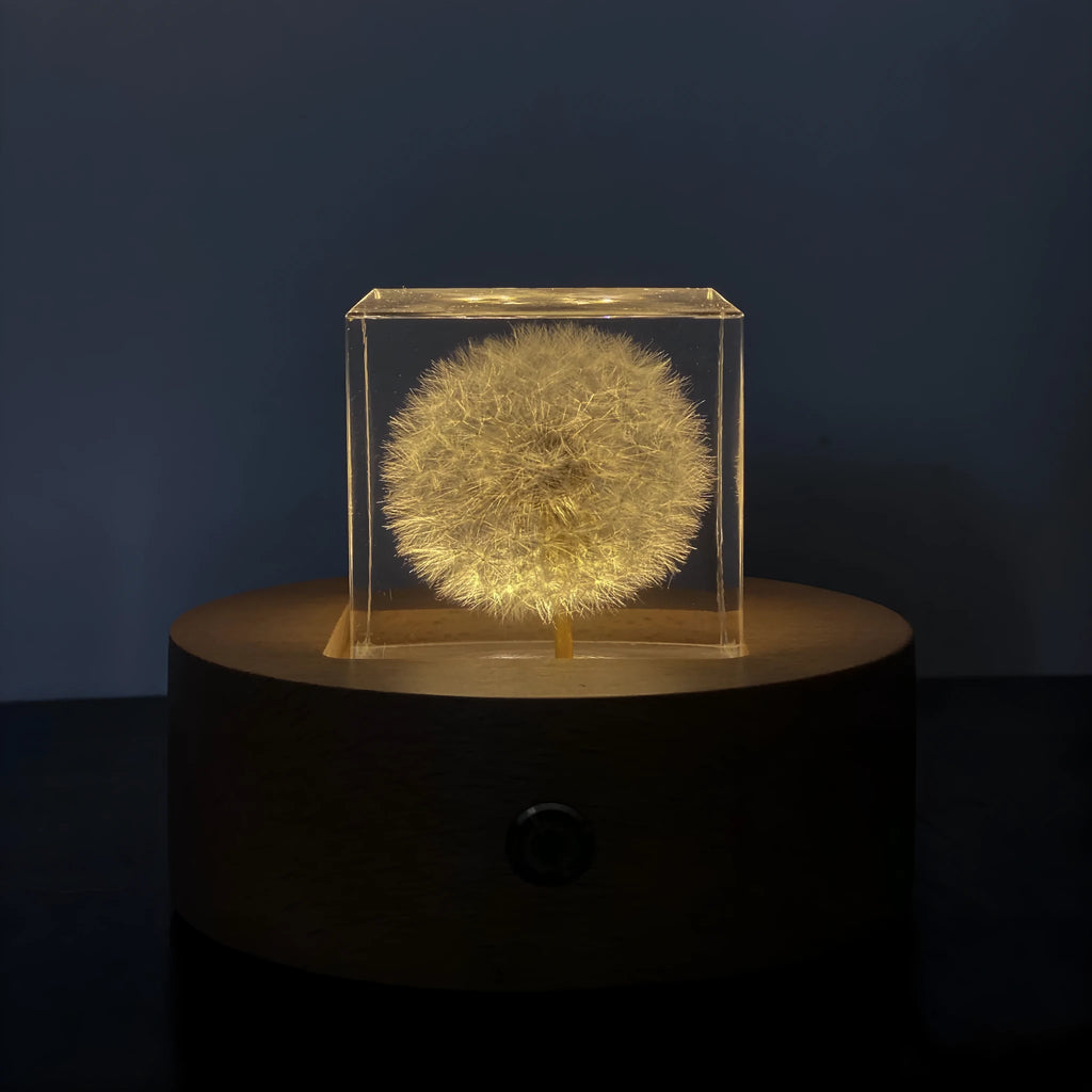 5cm clear resin cube with a real dandelion inside, on a USB LED base next to a wooden box.