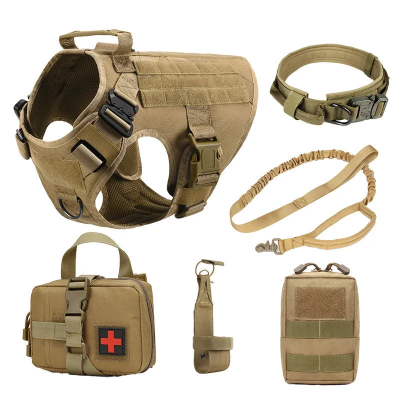 Dog wearing tactical combat vest set in CP camouflage with harness and protective gear