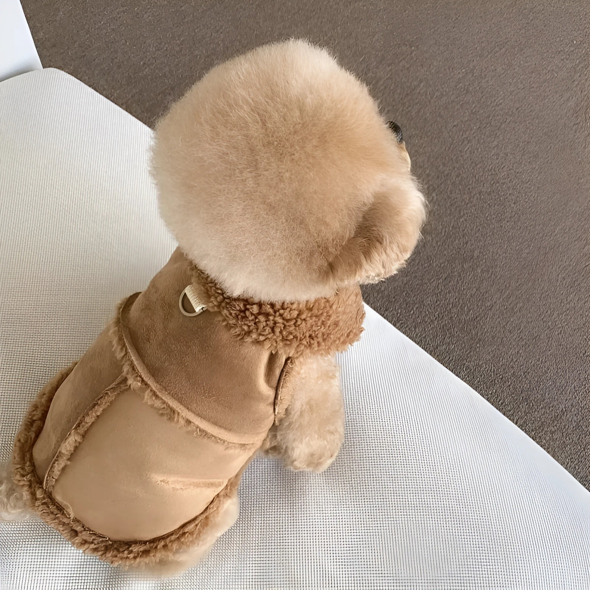 Pet autumn winter traction warm vest in brown available in XS to XL sizes for small dogs