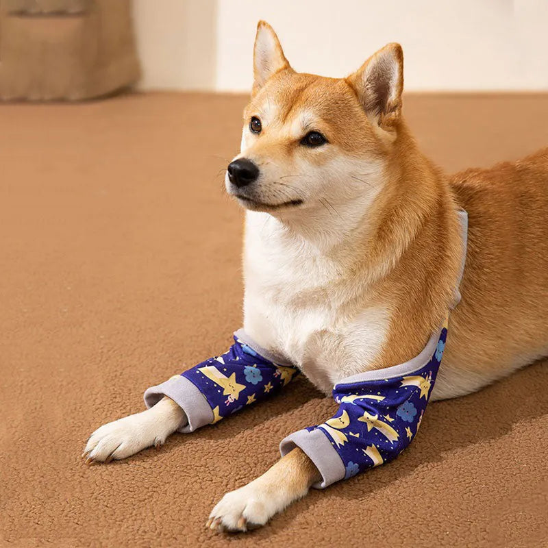 Blue dog knee protector with extra-thick padded elbow patch and adjustable buckle, shown with matching scarf