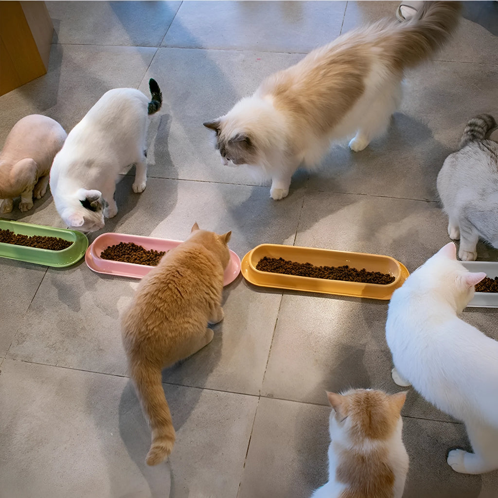 Green partitioned pet feeder bowl with four sections for dog or cat dry food.