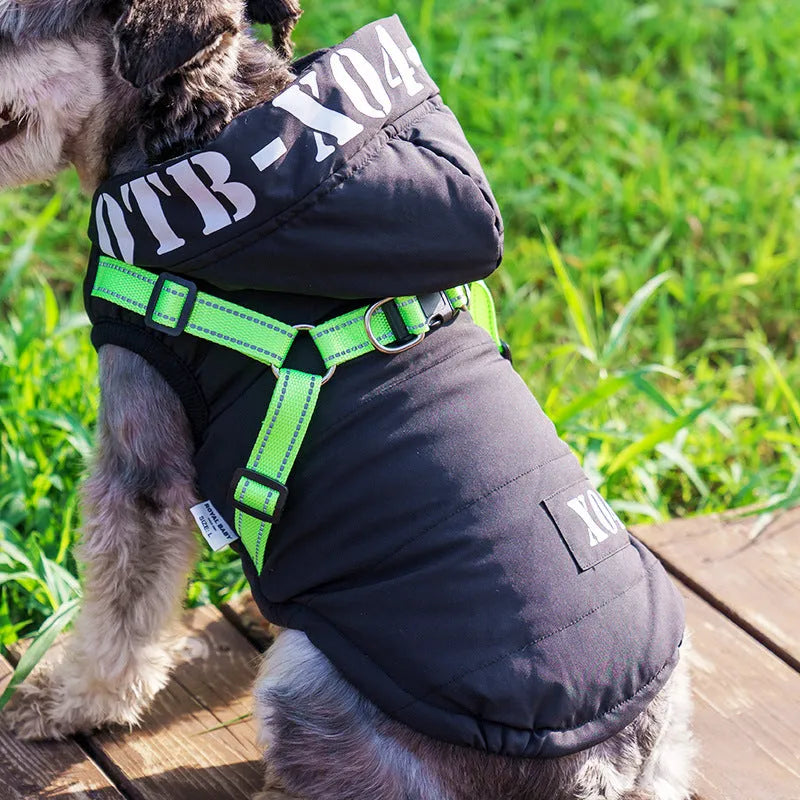 Red fleece-lined waterproof dog jacket with hood for winter wear on medium-sized dog