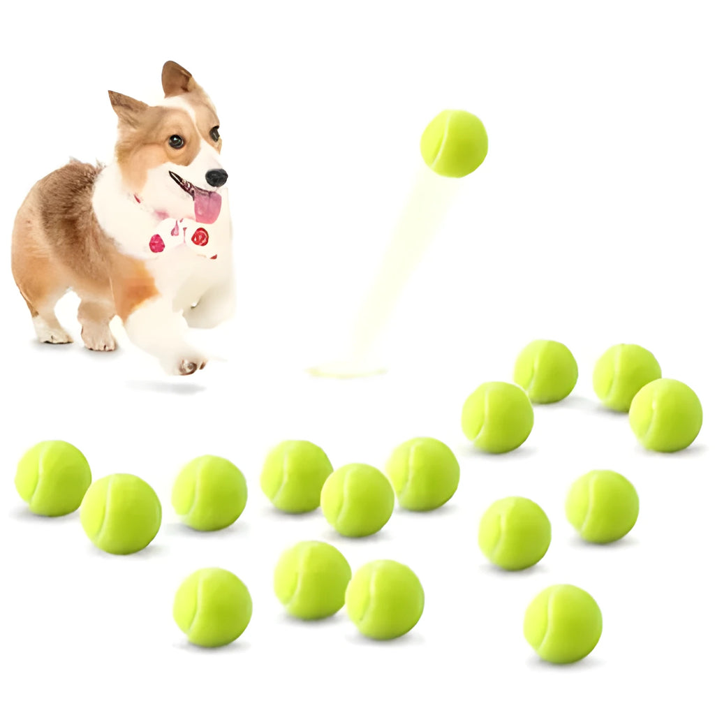 6.3cm diameter rubber dog tennis ball toy in assorted colours for medium large breed dogs