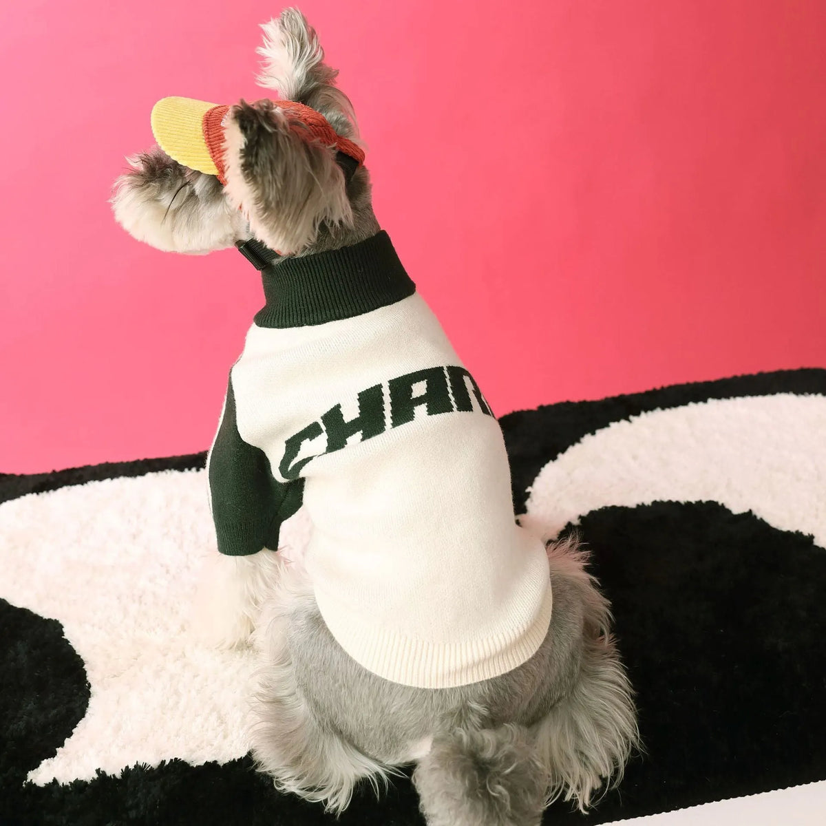 Red wool dog cardigan sweater shown on canine model with front opening and casual sports style