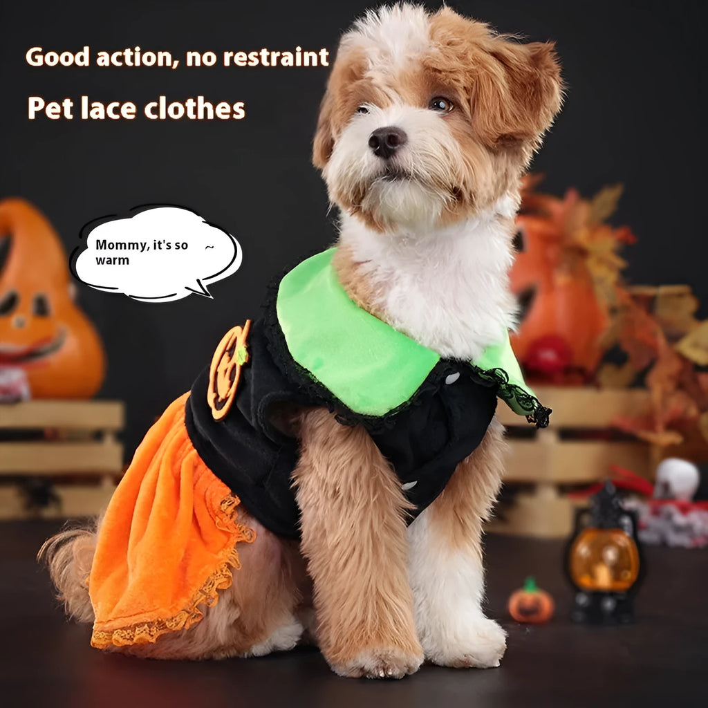 Pet dog wearing a classic orange pumpkin skirt Halloween costume made from Crystal Velvet fabric.