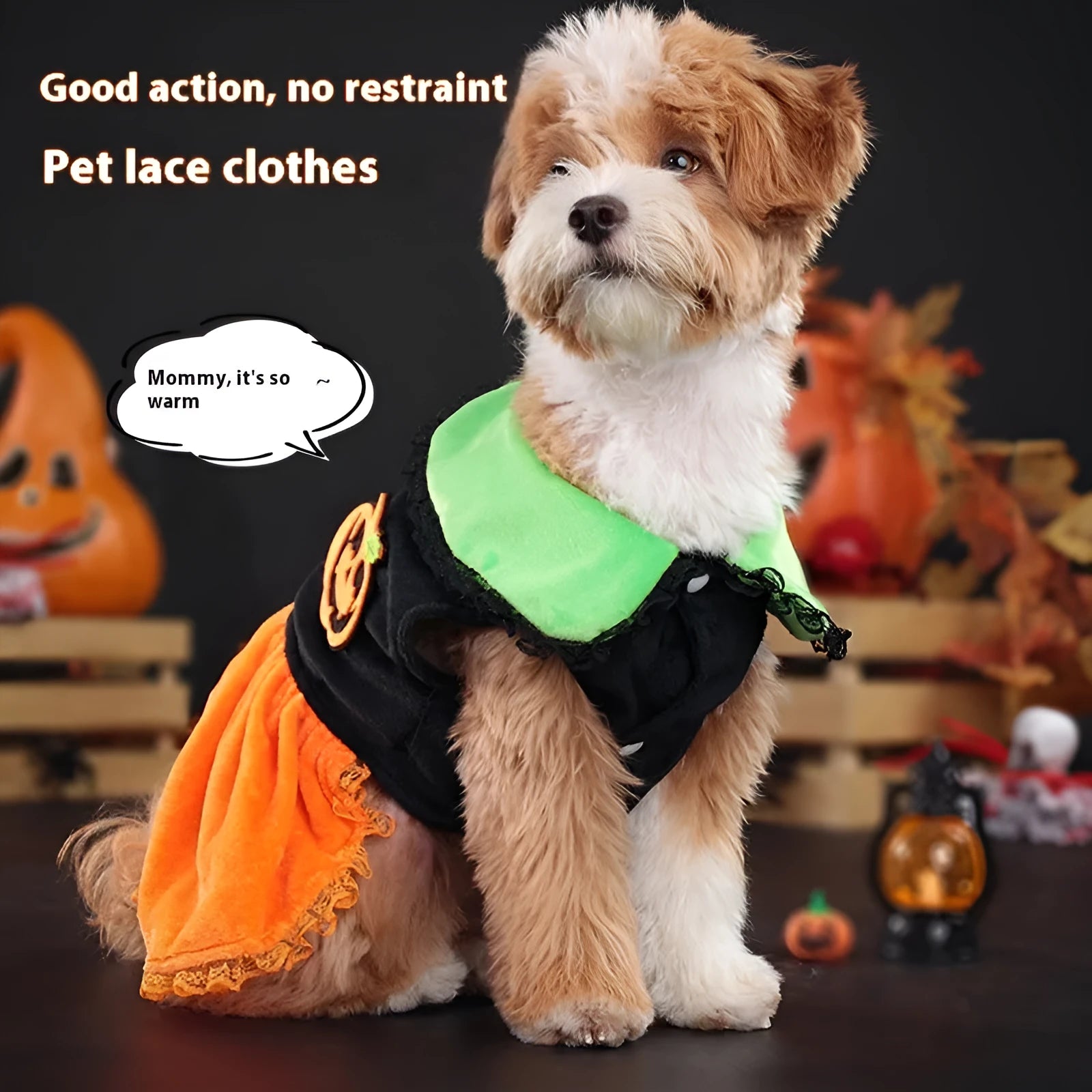 Pet dog wearing a classic orange pumpkin skirt Halloween costume made from Crystal Velvet fabric.