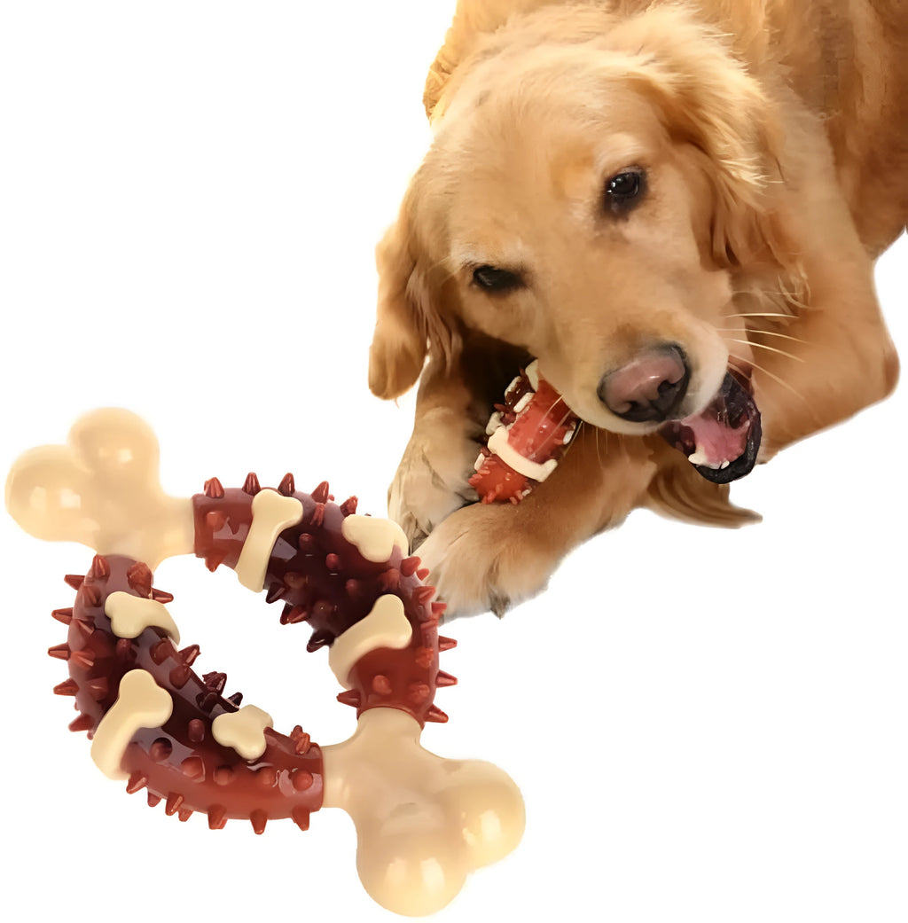 Bone-shaped natural rubber dog chew toy for teeth cleaning in two sizes