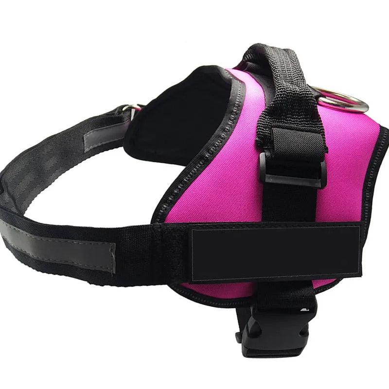 Adjustable reflective dog harness in blue with a handle and chest strap on a dog