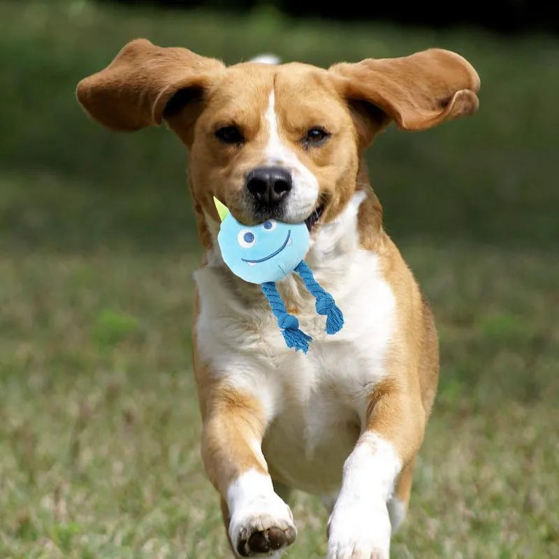 Squeaky dog toy with strong knot design, cotton rope and PP cotton filling, cartoon shape, yellow or blue