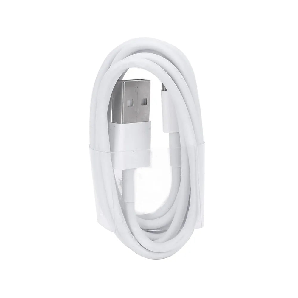 White USB wall charger and Lightning cable for iPhone and iPad models on a grey background.