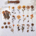 Dried flowers journal stickers pack with 40 PET sheets in eight colour variations