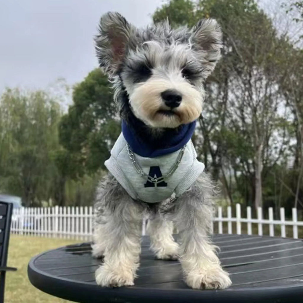 Blue polyester pet hoodie for dogs or cats with reflective white letters, slim-fitting design.