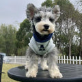 Blue polyester pet hoodie for dogs or cats with reflective white letters, slim-fitting design.