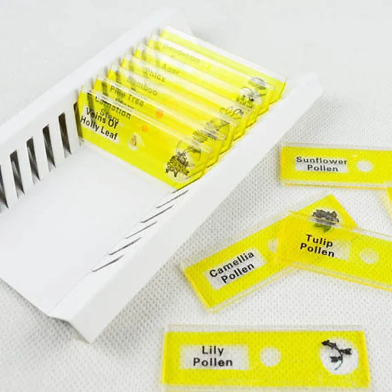 48 plastic educational microscope slides with plant and animal specimens in red, green, yellow, blue boxes.