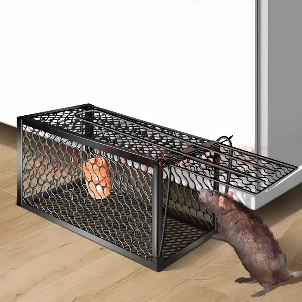 Automatic mouse cage trap in metal and plastic variants showing small, medium, and large size options