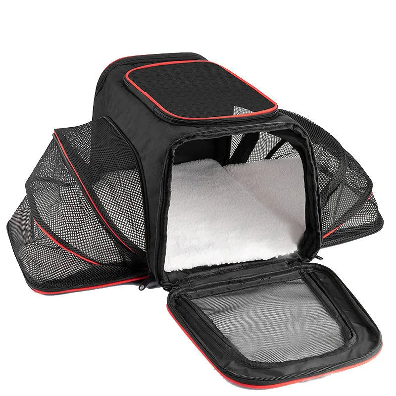 Cat carrier bag in black or grey with colour piping, made from 600D cation fabric
